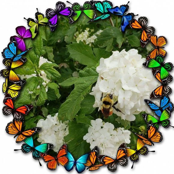 Meet your Posher, Dakinelady - Picture 1 of 1